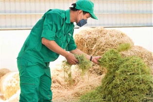 Vinamilk - Doanh nghiệp thực hiện tốt mô hình kinh tế tuần hoàn, ứng phó biến đổi khí hậu