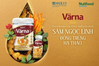 Dinh dưỡng đột phá từ Sâm Ngọc Linh của sữa Värna Elite