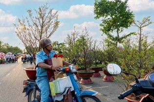 Chợ hoa xuân Bình Điền 2025: SATRA miễn phí thuê gian hàng cho tiểu thương