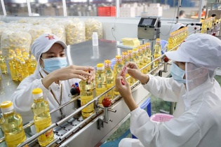 IDI đạt lợi nhuận cao từ ngành nuôi, chế biến cá tra