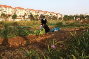 Giá giảm mạnh, bất động sản Tây Hà Nội hút khách