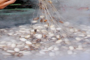 Chào mua công khai cổ phiếu TCT Dâu Tằm Tơ Việt Nam