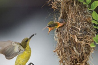 Nhà nhỏ cũng vẫn là nhà!