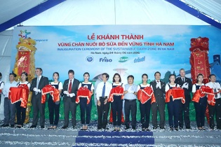 FrieslandCampina khánh thành Vùng chăn nuôi bò sữa tại Hà Nam