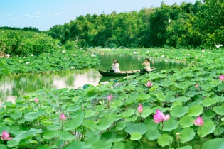 Phát huy lợi thế vùng trung tâm Đồng Tháp Mười