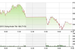 Phiên 12/8: Xả hàng ồ ạt