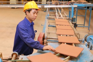 Thua lỗ, cổ phiếu Viglacera Đông Anh vào diện bị kiểm soát 