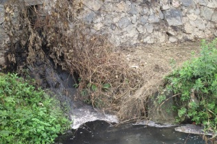 May Hồ Gươm bị phạt 150 triệu đồng vì xả thải gây ô nhiễm môi trường