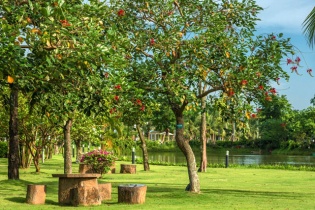 Cuối tuần ý nghĩa với sự kiện “Khu vườn mùa Thu” tại Vinhomes Riverside