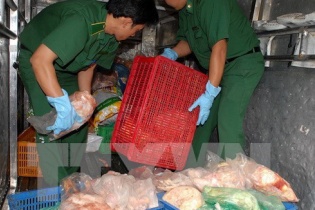 Ninh Bình: Quản lý thị trường bắt quả tang cơ sở giết mổ trữ 1,3 tấn thực phẩm bẩn