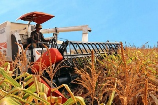 Các đại gia niêm yết "bén duyên" với nông nghiệp ra sao?