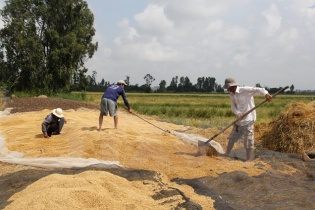 Dự báo thời tiết hôm nay: Bắc Bộ nắng ngập tràn, Trung và Nam Bộ có mưa rào và dông rải rác