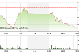 Phiên 10/11: Điểm sáng OGC