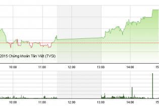 Phiên 13/11: VIC và VNM tăng mạnh nhưng điểm nhấn là OGC
