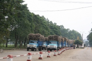 Thị trường chứng khoán: "Ngọt lịm" như cổ phiếu đường