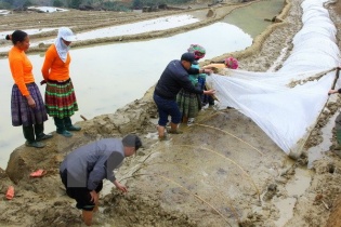 Dự báo thời tiết hôm nay: Bắc Bộ có nơi nhiệt độ xuống 11 độ C