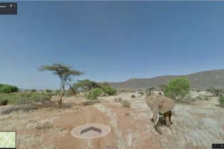 Google Maps có thêm tính năng theo dõi tác động của việc biến đổi khí hậu