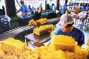 Ông Trịnh Quang Dũng đăng ký mua cổ phần CTCP Kho vận và Dịch vụ hàng hóa Cao su