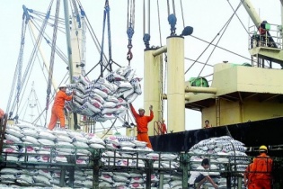 Ngành thống kê tiên phong trong hội nhập