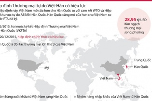 [Infographics] Tìm hiểu về VKFTA