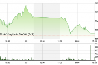 Phiên 23/2: HAG mở cửa chạm giá trần, đóng cửa chỉ còn xanh nhạt
