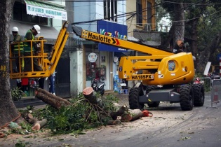 Hà Nội đầu tư 1,5 tỷ đồng nhập xe cắt tỉa cây trước mùa mưa bão