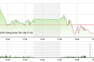 Phiên 8/3: Không ngại cổ đông ngoại bán ra DLG tăng trần phiên thứ 2 liên tiếp