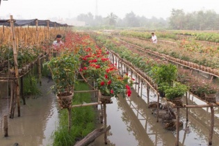 Dự báo thời tiết hôm nay: Không khí lạnh tăng cường về miền Bắc, miền Nam nắng rát