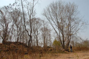 Hình ảnh hạn mặn khốc liệt tại ĐBSCL