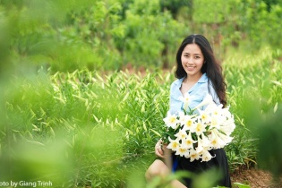 Tháng tư - mùa hoa loa kèn nở bung trắng muốt