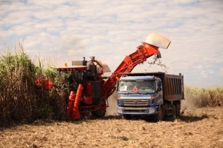 Một công ty của bầu Đức "xin tháo gỡ khó khăn" cho đường nhập khẩu từ Lào