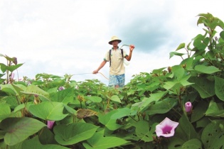 Nghỉ hưu ở tuổi 40: Người đã biết thương người!