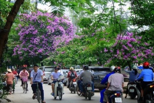 Dự báo thời tiết hôm nay: Miền Bắc giảm mưa, miền Nam nắng nhẹ