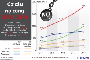 [Infographics] Cơ cấu nợ công của Việt Nam tính đến cuối năm 2015