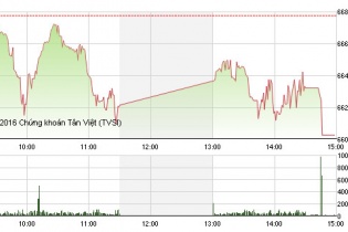 Phiên 20/7: TTF và KSB cùng "nằm sàn"