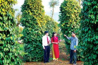 Agribank cam kết hỗ trợ vốn xây dựng Nông thôn mới giai đoạn 2016 - 2020