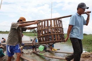 Bảo hiểm nông nghiệp trước nhiều thách thức