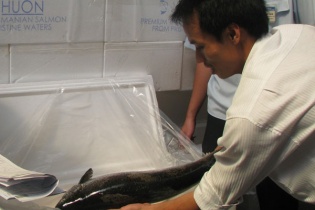 Các văn bản kiểm tra chuyên ngành đang "cản đường" doanh nghiệp