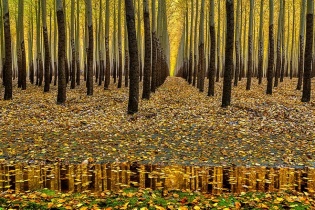 Những địa danh ngắm mùa thu người Việt hay đến