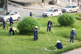 Hà Nội cắt cỏ, tỉa cây trở lại sau 3 tháng tạm dừng