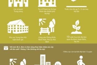[Infographics] Hà Nội sẽ duy tu, duy trì thảm cỏ, cây hoa ở những khu vực nào?