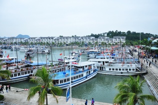 Yêu cầu Công ty Âu Lạc Quảng Ninh báo cáo phương án, lộ trình thu phí Cảng Tuần Châu