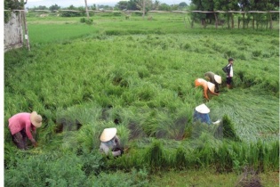 Dự báo thời tiết hôm nay: Mưa rải rác trên hầu khắp cả nước
