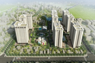 Kịp tránh bão, Hải Phát “giương vây” trở lại