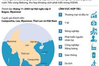 [Infographics] Tổng quan về chiến lược ACMECS