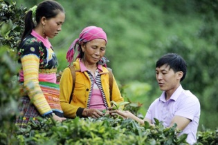 3 thách thức cho thanh niên nông thôn khởi nghiệp