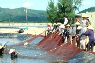 Thành lập Quỹ Hỗ trợ phát triển hợp tác xã