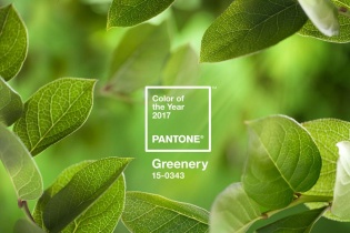 Xanh lá cây Greenery được chọn làm màu của năm 2017