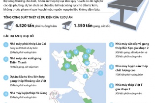 [Infographic] 12 dự án thép bị loại khỏi quy hoạch 