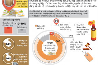 [Infographic] Xây dựng giá trị thương hiệu qua chỉ dẫn địa lý